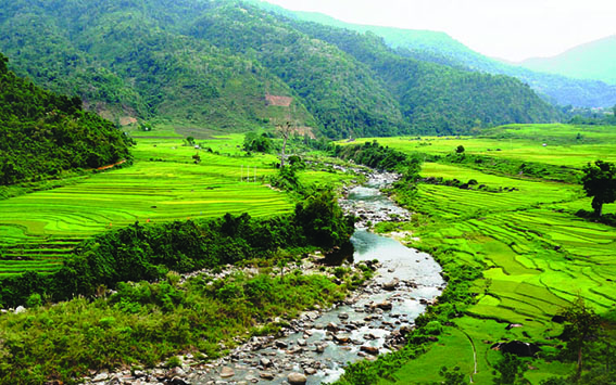 Nhớ suối